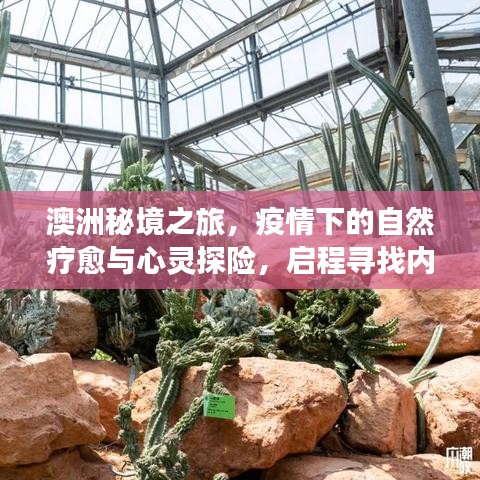 手不释卷 第3页