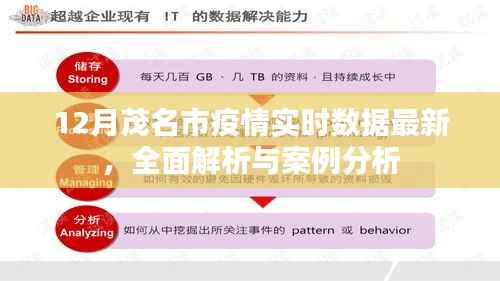 茂名市疫情实时数据解析与案例分析报告(最新更新)
