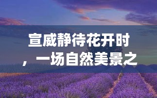 老死不相往来 第3页