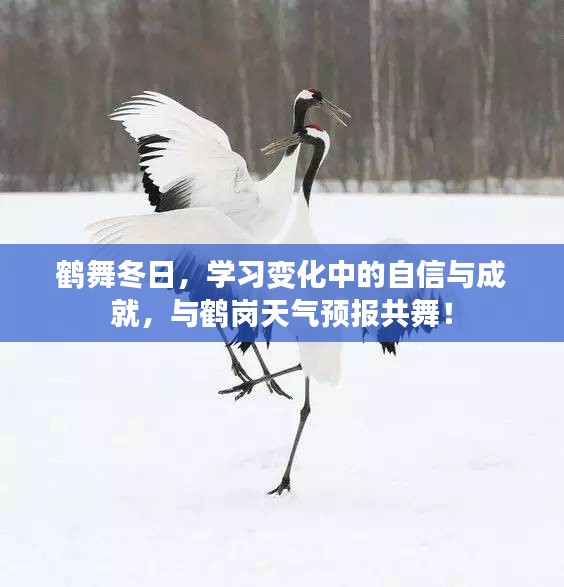 射飞逐走 第3页
