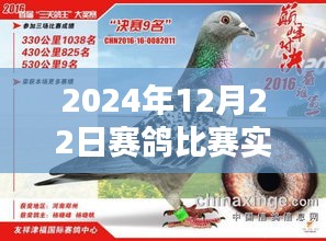 赛鸽比赛直播观看指南，2024年12月22日实时直播在线观看