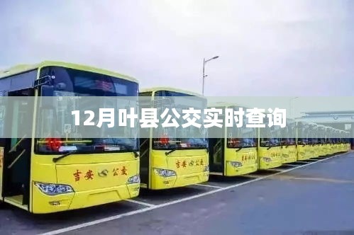 犯而不校 第3页