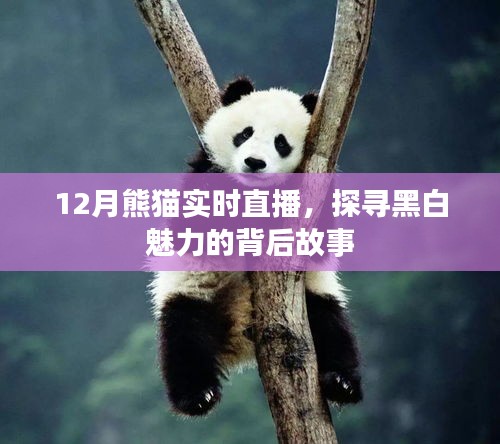 宵衣旰食 第2页