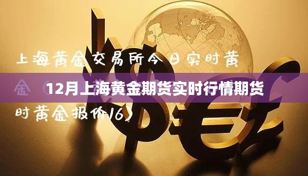 上海黄金期货实时行情走势分析