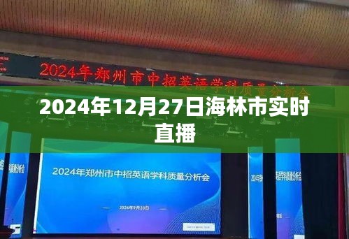 海林市实时直播，2024年12月27日精彩瞬间