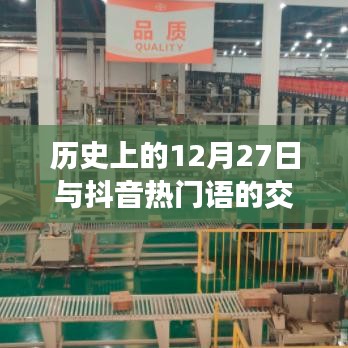 历史上的大事件与抖音热语背后的故事与趋势探索