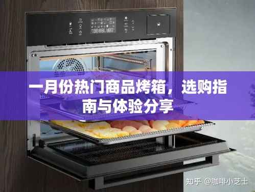 一月份热门烤箱选购指南与体验分享
