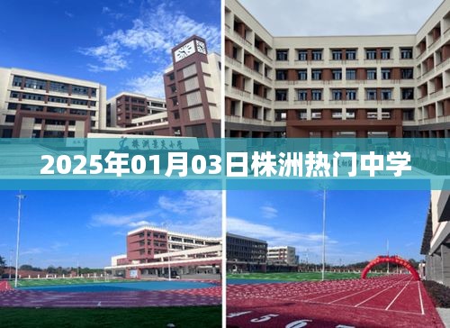 全神贯注 第3页