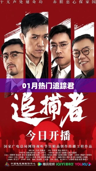 热门追踪君,揭秘一月份热点事件