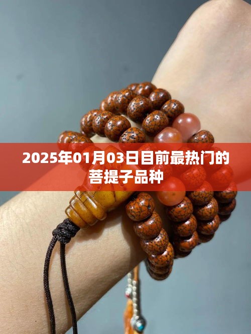 就地取材 第3页