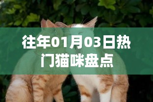萍水相逢 第3页