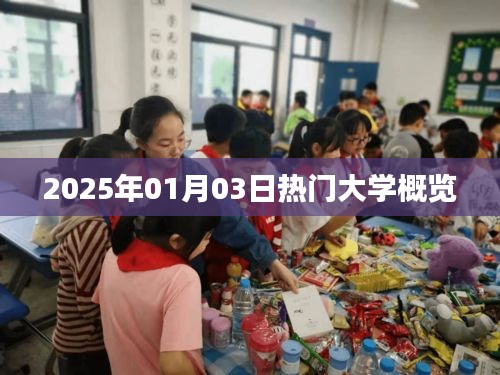 夫妻本是同林鸟 第3页