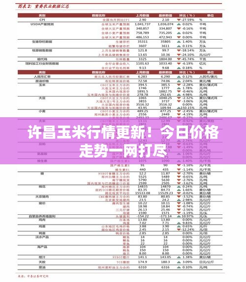 风华绝代 第2页