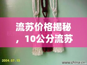 流苏价格揭秘，10公分流苏的价格分析