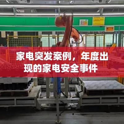 母以子贵 第3页