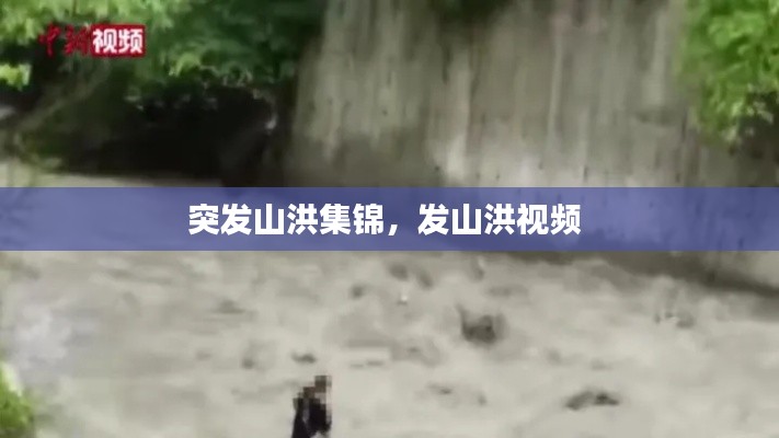 突发山洪集锦,发山洪视频