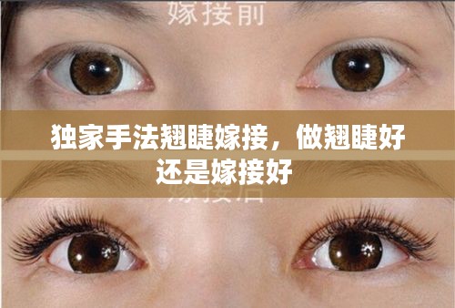 飞龙在天 第3页
