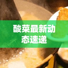酸菜最新动态速递