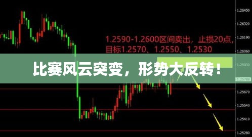 飞箭如蝗 第2页
