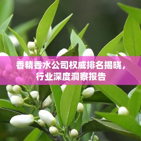 首鼠两端 第3页