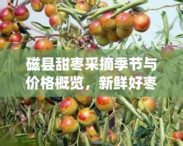 长命富贵 第2页