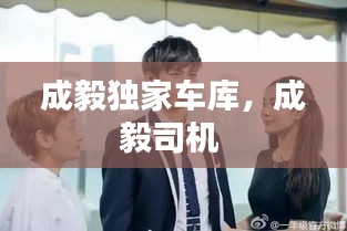 盖世英雄 第2页