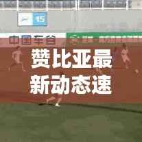 赞比亚最新动态速递