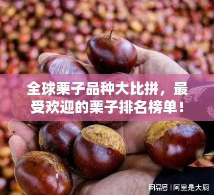 风流倜傥 第2页