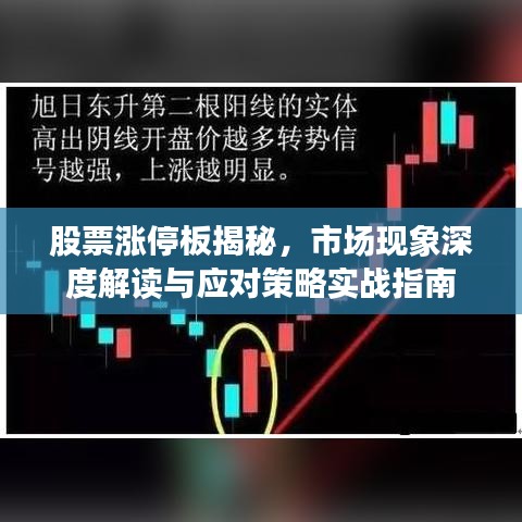 飞红滴翠 第2页