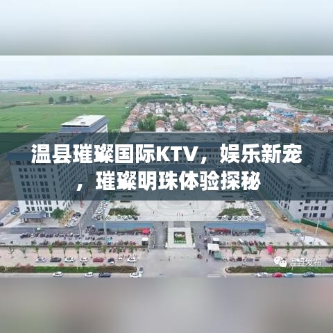 正声雅音 第2页