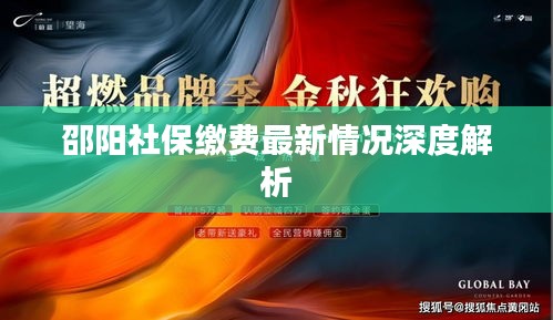 邵阳社保缴费最新情况深度解析