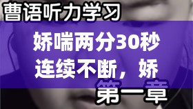 龙飞九五 第2页