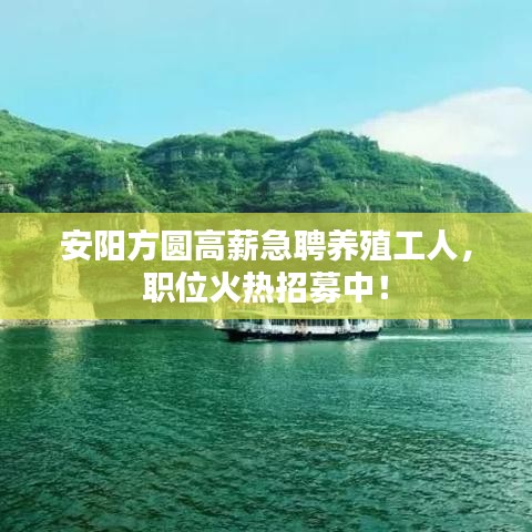 一本正经 第2页