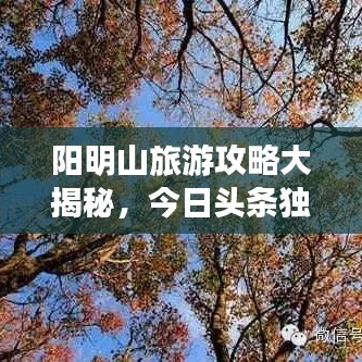 蛙鼓蝉鸣 第2页