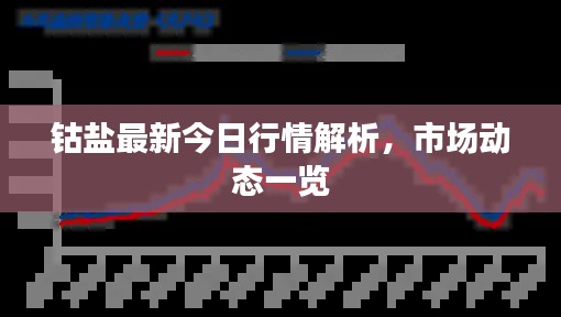 钴盐最新今日行情解析，市场动态一览