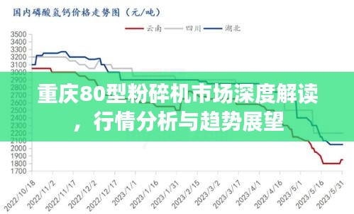 重庆80型粉碎机市场深度解读，行情分析与趋势展望