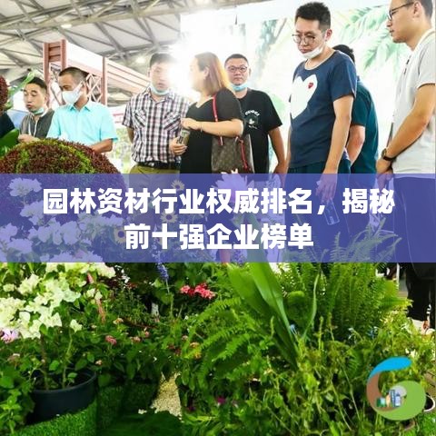 骨瘦如柴 第2页