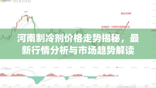 河南制冷剂价格走势揭秘，最新行情分析与市场趋势解读