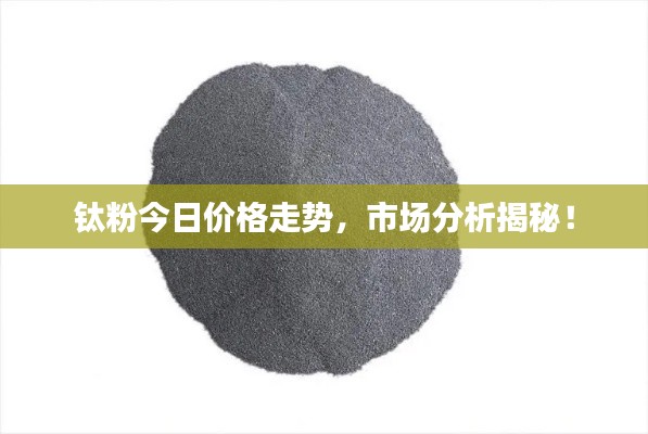 逆风飞扬 第2页