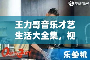 王力哥音乐才艺生活大全集，视频盛宴，一站欣赏