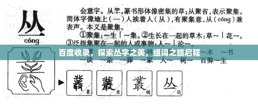 百度收录，探索丛字之美，组词之旅启程