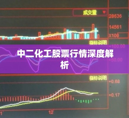 中二化工股票行情深度解析