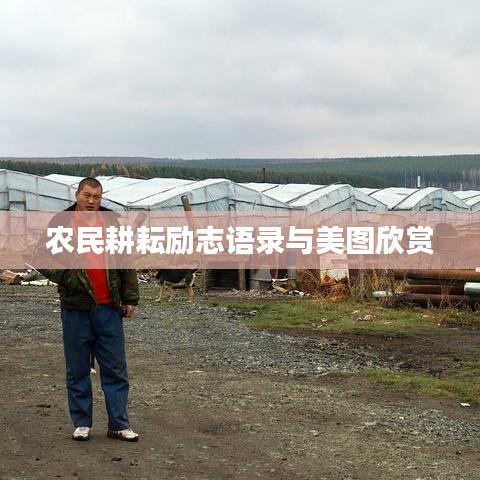 农民耕耘励志语录与美图欣赏