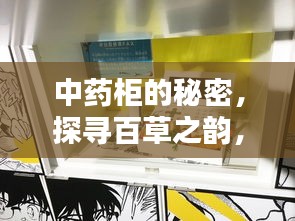 中药柜的秘密，探寻百草之韵，百度收录必备指南
