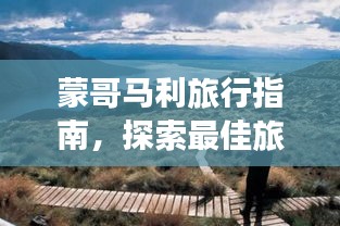 蒙哥马利旅行指南，探索最佳旅游攻略