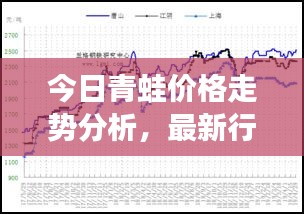 今日青蛙价格走势分析，最新行情报告