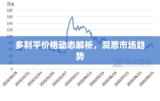 多利平价格动态解析，洞悉市场趋势