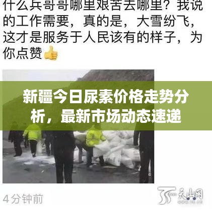 新疆今日尿素价格走势分析，最新市场动态速递