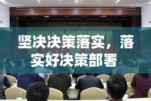 坚决决策落实，落实好决策部署 