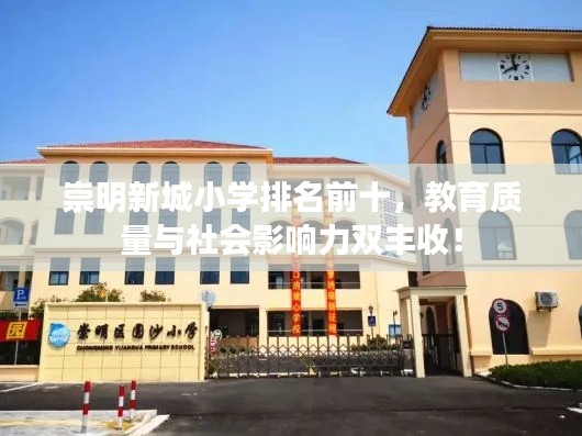 崇明新城小学排名前十，教育质量与社会影响力双丰收！